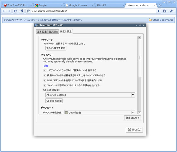 図2　Chromium 4.0.254.0 (0) on FreeBSD 9-CURRENT 実行例