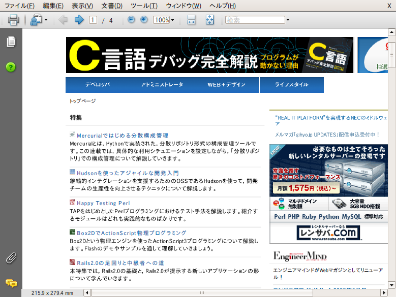 図4　Adobe ReaderでPDFを表示した例