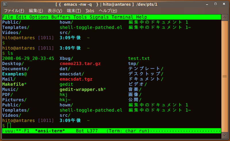 図3　M-x ansi-term