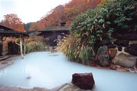 露天風呂（鶴の湯温泉）