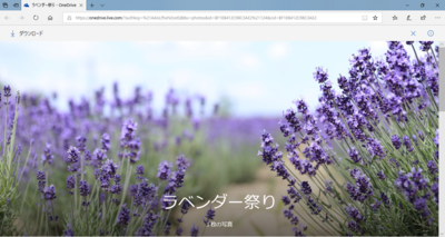 パソコンでWebアルバムを表示した例です