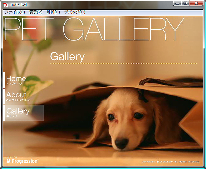 図8　「GalleryPage」表示確認