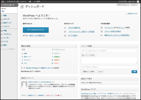 どうですか、WordPress。グレーの画面って感じですか