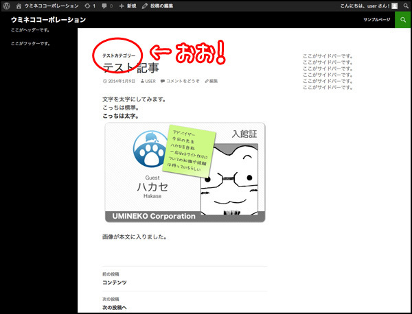 おお、ちゃんとカテゴリーが記事に表示されています！