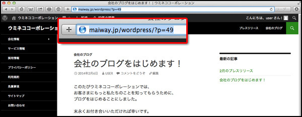 例えば、この記事の記事IDは49番です。「会社のブログをはじめます！」という最初の記事の記事IDが「49」。な、なんて縁起の悪い……