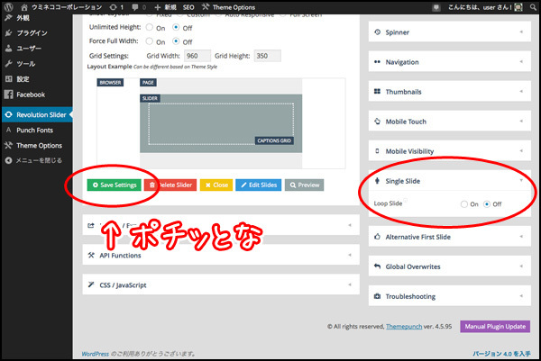 スライダー設定の「Single Slide」の項目を開き、「Loop Slide」を「OFF」に設定し、「Save Settings」を押す