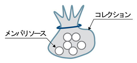 図2　AtomPubのデータモデル