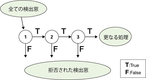 図6　Attentinal Cascade