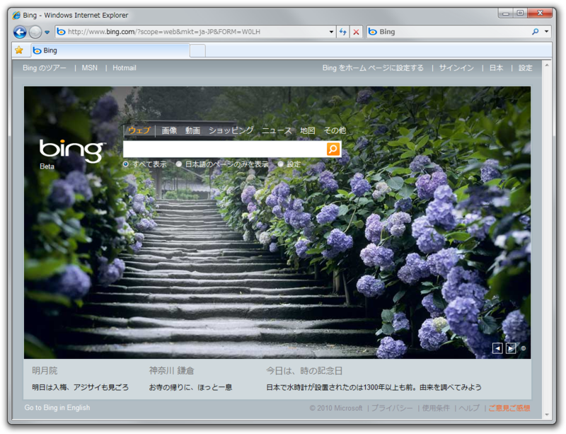 図1　Bing