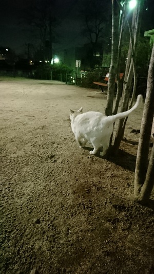 公園が違うのです